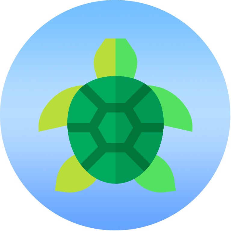 dia-tortuga