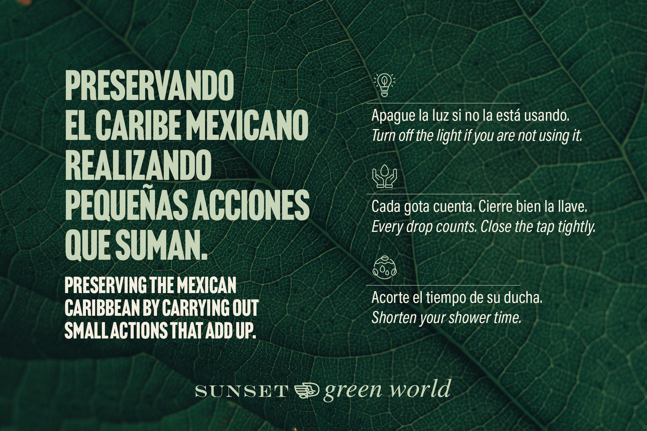 2402_0187_0_SW_CAL_BANNER-PRESERVANDO-EL-CARIBE-MEXICANO_BIL_1080x720-5